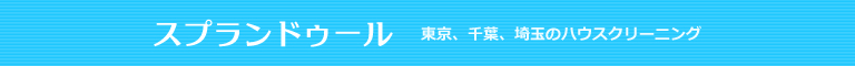 千葉県松戸市、柏市、市川市、船橋市、浦安市のハウスクリーニング店スプランドゥール